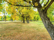 南方立式離心泵老發噪聲是什么原因？