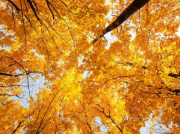 軸承和密封不耐磨、不耐高溫的解決方案